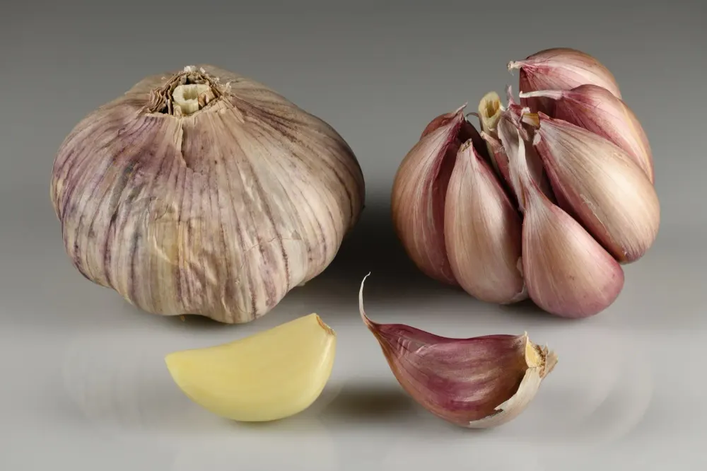 Foto von Knoblauch