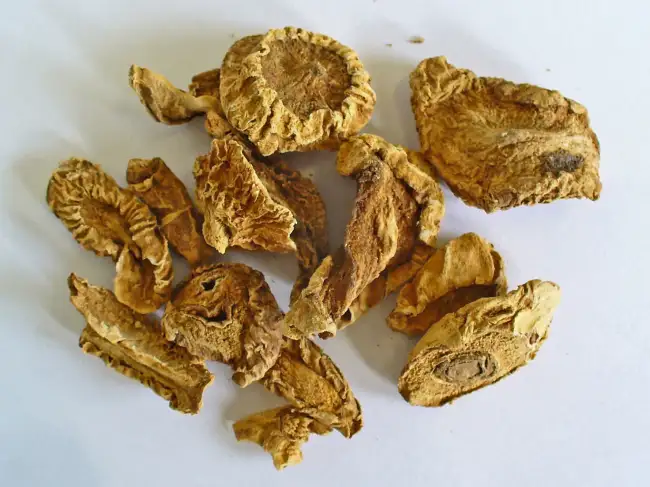 Zerkleinerte, getrocknete sekundäre Speicherknollen der Afrikanischen Teufelskralle (Harpagophyti radix)